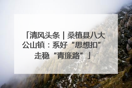 清风头条｜桑植县八大公山镇：系好“思想扣” 走稳“青廉路”