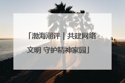 渤海潮评｜共建网络文明 守护精神家园