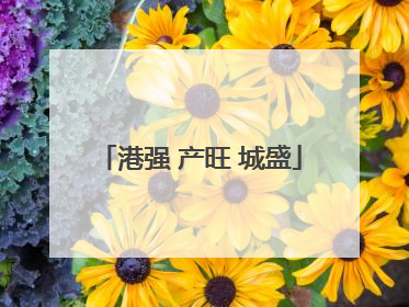 港强 产旺 城盛
