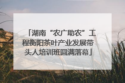 湖南“农广助农”工程衡阳茶叶产业发展带头人培训班圆满落幕
