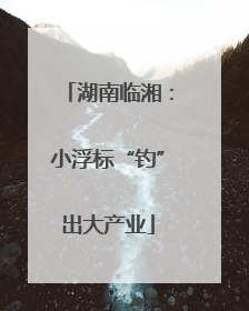 湖南临湘：小浮标“钓”出大产业