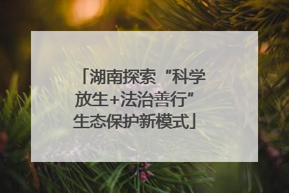 湖南探索“科学放生+法治善行”生态保护新模式