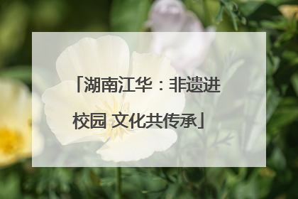 湖南江华：非遗进校园 文化共传承