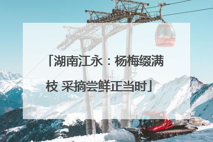 湖南江永：杨梅缀满枝 采摘尝鲜正当时
