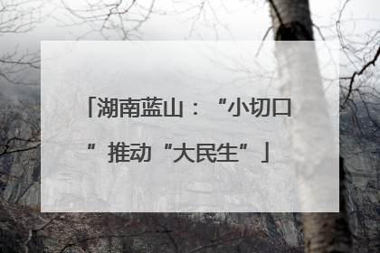 湖南蓝山：“小切口”推动“大民生”