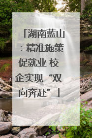 湖南蓝山：精准施策促就业 校企实现“双向奔赴”
