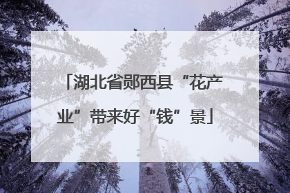 湖北省郧西县“花产业”带来好“钱”景