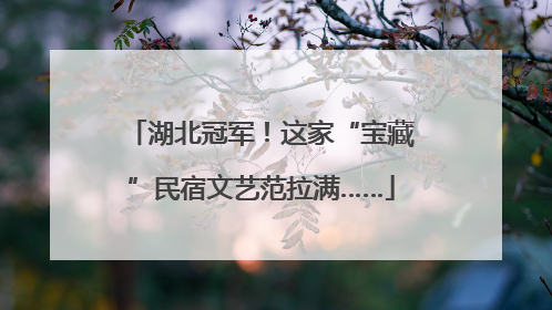 湖北冠军！这家“宝藏”民宿文艺范拉满……