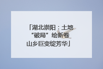 湖北崇阳：土地“破局”绘新卷 山乡巨变绽芳华