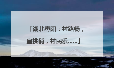 湖北枣阳：村路畅，皇桃俏，村民乐……