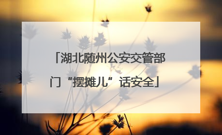 湖北随州公安交管部门“摆摊儿”话安全