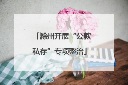 滁州开展“公款私存”专项整治