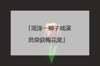菏泽一柳子戏演员荣获梅花奖