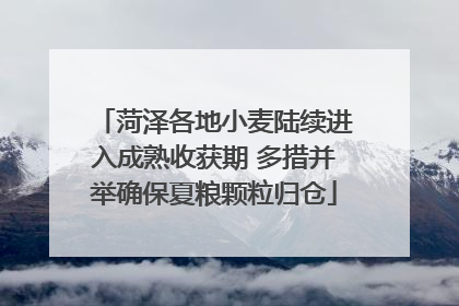 菏泽各地小麦陆续进入成熟收获期 多措并举确保夏粮颗粒归仓