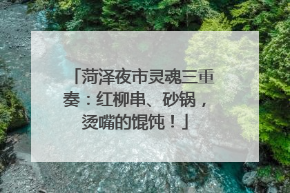 菏泽夜市灵魂三重奏：红柳串、砂锅，烫嘴的馄饨！