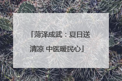 菏泽成武：夏日送清凉 中医暖民心