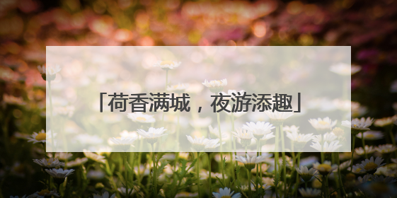 荷香满城，夜游添趣