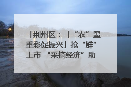 荆州区：「“农”墨重彩促振兴」抢“鲜”上市 “采摘经济”助农“甜蜜增收”