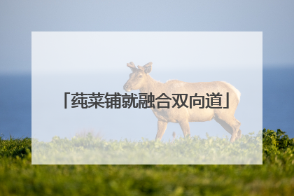 莼菜铺就融合双向道