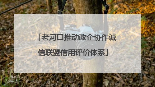 老河口推动政企协作诚信联盟信用评价体系