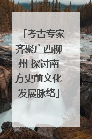 考古专家齐聚广西柳州 探讨南方史前文化发展脉络