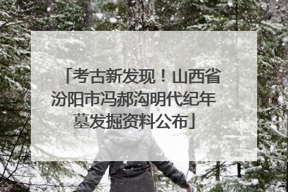考古新发现！山西省汾阳市冯郝沟明代纪年墓发掘资料公布