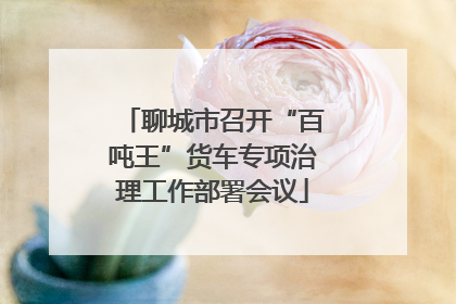 聊城市召开“百吨王”货车专项治理工作部署会议