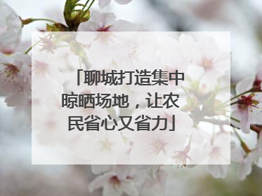 聊城打造集中晾晒场地，让农民省心又省力
