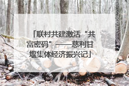 联村共建激活“共富密码”——慈利甘堰集体经济振兴记