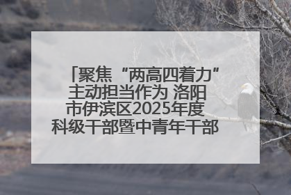 聚焦“两高四着力” 主动担当作为 洛阳市伊滨区2025年度科级干部暨中青年干部培训班开班