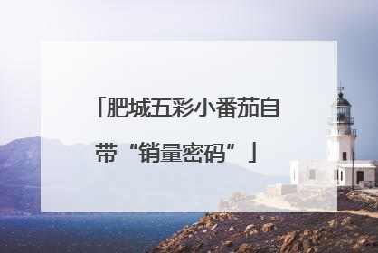 肥城五彩小番茄自带“销量密码”