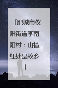 肥城市仪阳街道李南阳村：山楂红处是故乡