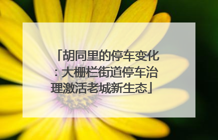 胡同里的停车变化：大栅栏街道停车治理激活老城新生态