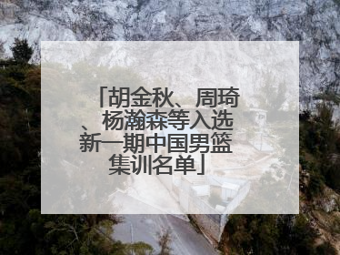 胡金秋、周琦、杨瀚森等入选新一期中国男篮集训名单