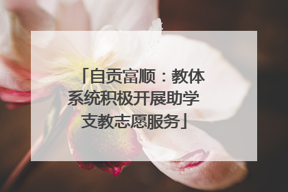 自贡富顺：教体系统积极开展助学支教志愿服务