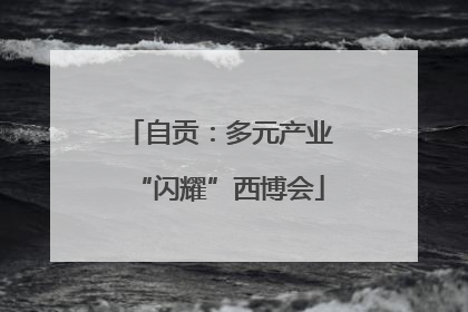 自贡：多元产业“闪耀”西博会