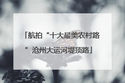 航拍“十大最美农村路”沧州大运河堤顶路