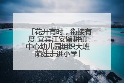 花开有时，衔接有度 宜宾江安留耕镇中心幼儿园组织大班萌娃走进小学