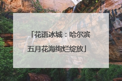 花语冰城：哈尔滨五月花海绚烂绽放