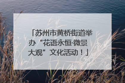 苏州市黄桥街道举办“花语永恒·微景大观”文化活动！