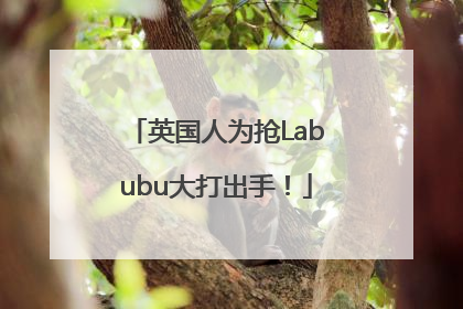 英国人为抢Labubu大打出手！
