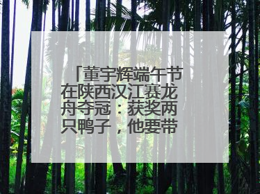 董宇辉端午节在陕西汉江赛龙舟夺冠：获奖两只鸭子，他要带回北京养着