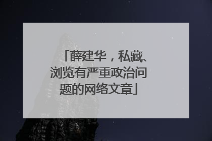 薛建华，私藏、浏览有严重政治问题的网络文章