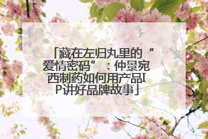 藏在左归丸里的“爱情密码”：仲景宛西制药如何用产品IP讲好品牌故事