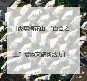 虎啸梅花山 “百兽之王”增添文旅新活力