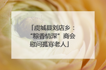 虞城县刘店乡：“粽香情深”商会慰问孤寡老人