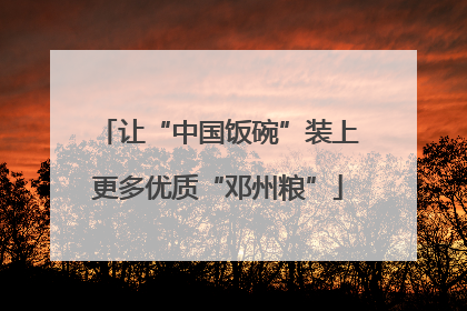 让“中国饭碗”装上更多优质“邓州粮”