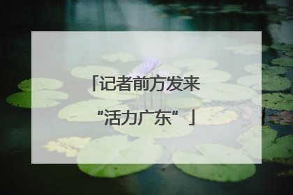 记者前方发来“活力广东”