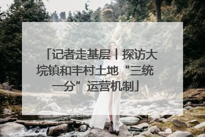 记者走基层丨探访大垸镇和丰村土地“三统一分”运营机制