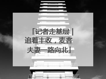 记者走基层｜追着丰收，麦客夫妻一路向北